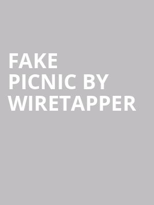 Fake Picnic By Wiretapper at Alexandra Palace
